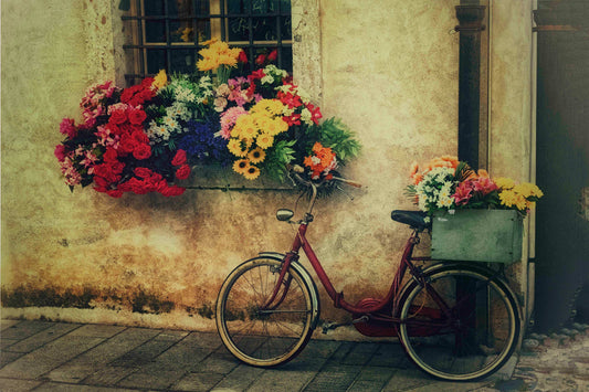 Bicycle & Flowers